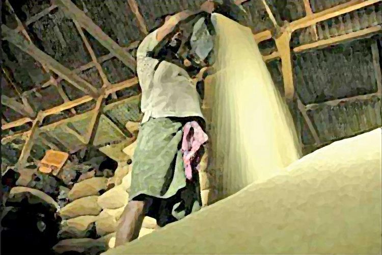 Stocks-of-rice
