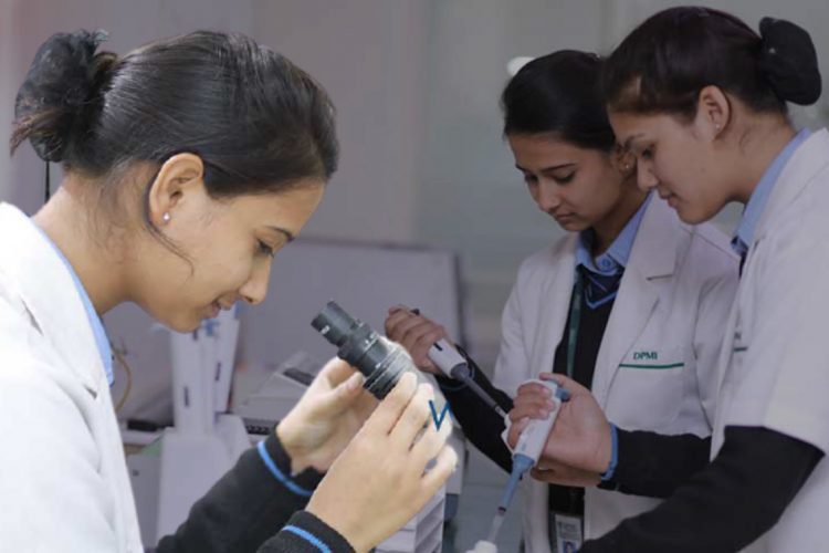para medical services