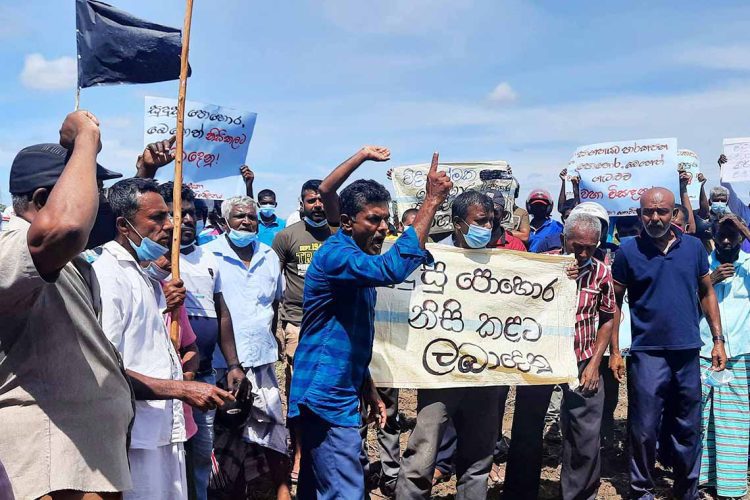අද වැලිකන්ද රුහුණුකෙත වෙල් යායේ පැවති උද්ඝෝෂණය...