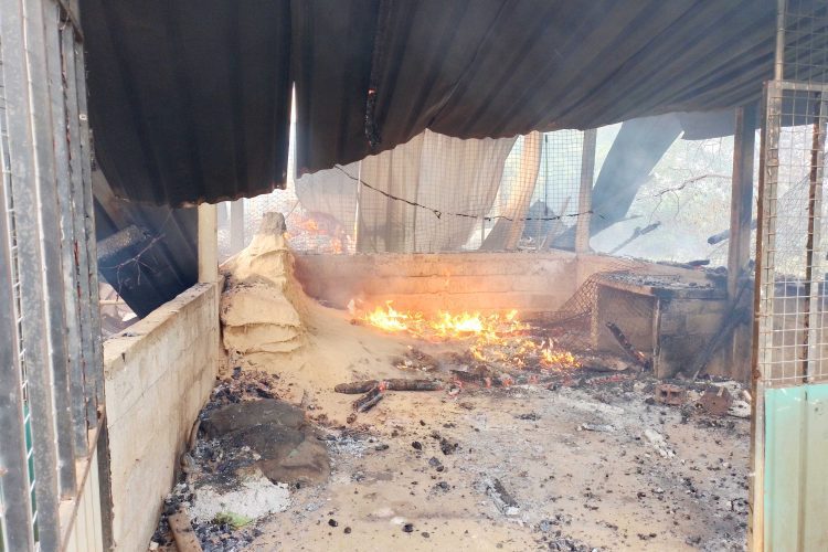 මහීපාල හේරත්ගේ ගොවිපල ගබඩාවලට අන්තිමට සිදුවූ දේ...