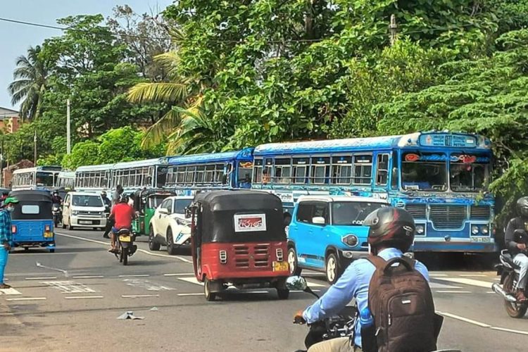 රට වටින් පොහොට්ටු සාමාජිකයින් ගෙන්වූ බස් රථ....