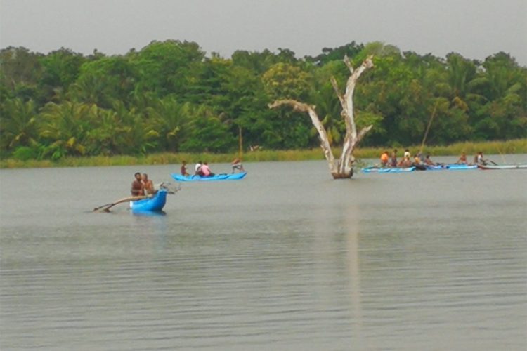අතුරුදහන් වූ දැරියන් සොයා මෙහෙයුමට එක්වූ පිරිස්...