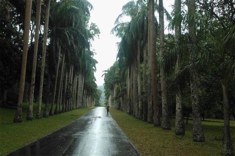 Peradeniya