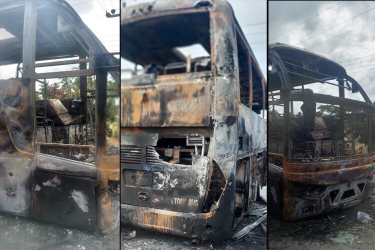 jaffna-bus