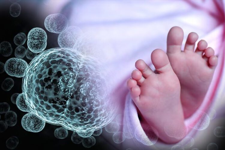 Meningitis-bacteria1