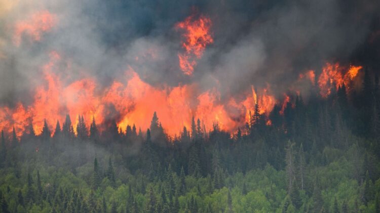 Canada Evacuates Yellowknife Amidst Raging Wildfires