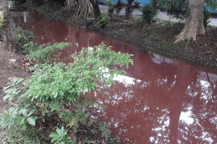 වර්ණක මුදා හැර තිබූ ආකාරය...