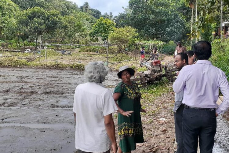 කුඹුරු ගොඩකරමින් ඇති ආකාරය...