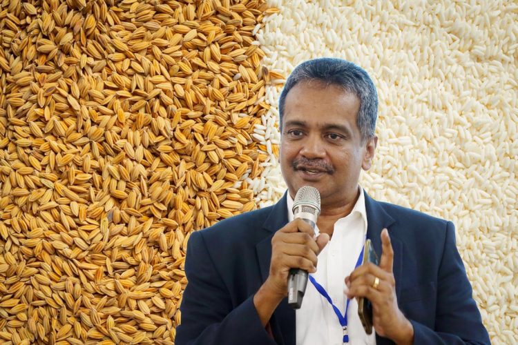 Rice stock Release Questioned