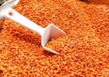 Heap of organic red dal or dhall with ladle in bucket