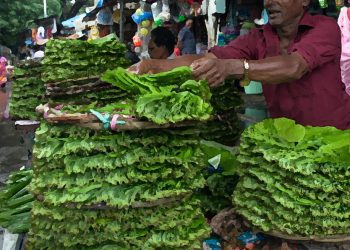 Betel leaves at a market stall in Mahim, Mumbai, India.