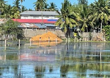 Akkareyipaththu- Lagoon