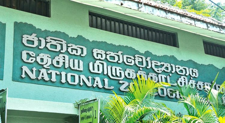 Dehiwala zoo