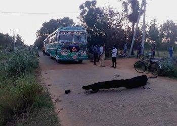 Mulathiw-Bus
