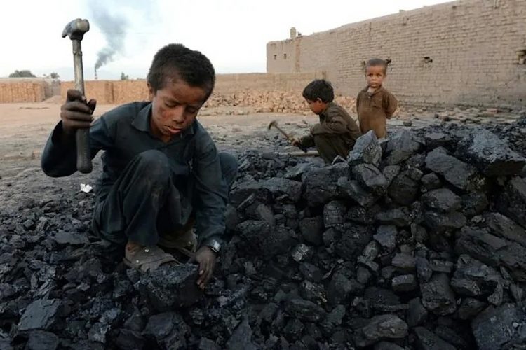 child labour