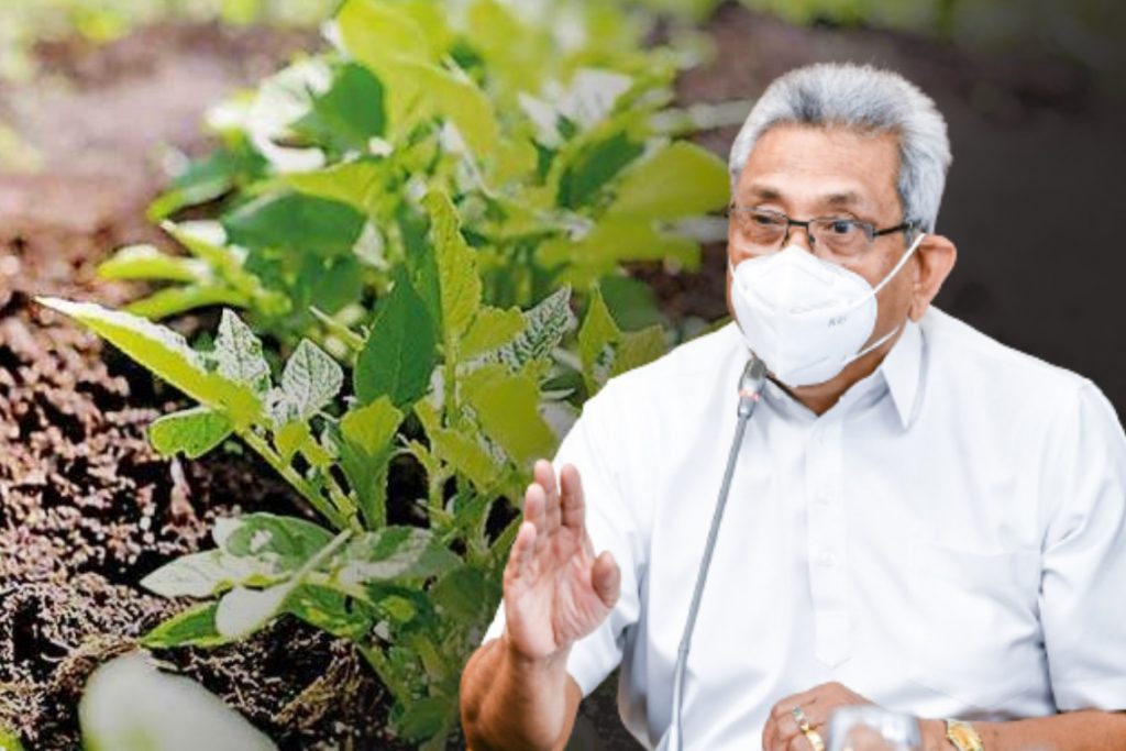 gotabhaya rajapaksa - organic agriculture
