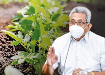 gotabhaya rajapaksa - organic agriculture