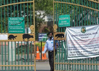 india zoo