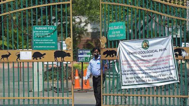 india zoo