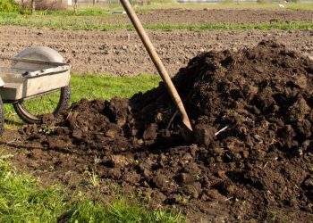 Organic-Compost