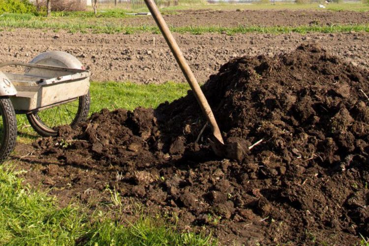 Organic-Compost