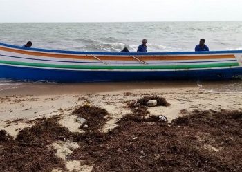 mannar boat 2