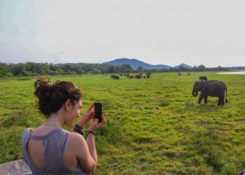 tourism