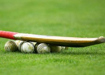 school-cricket