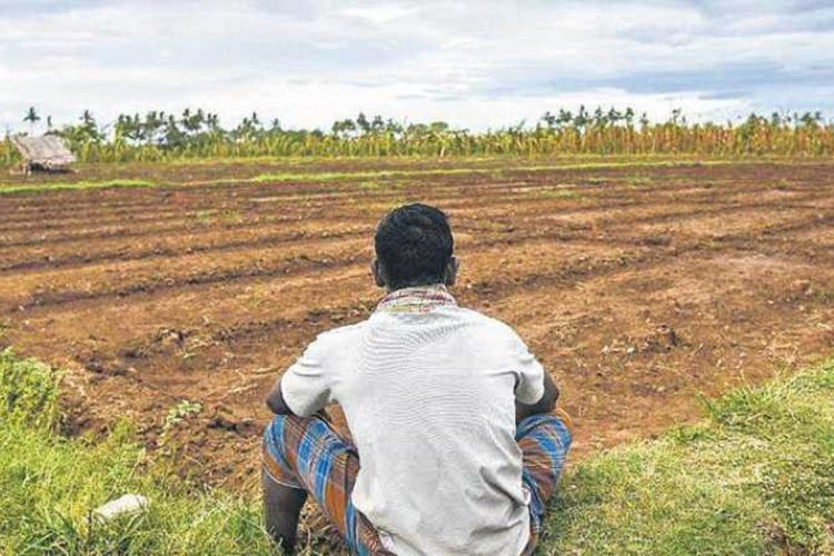 farmers