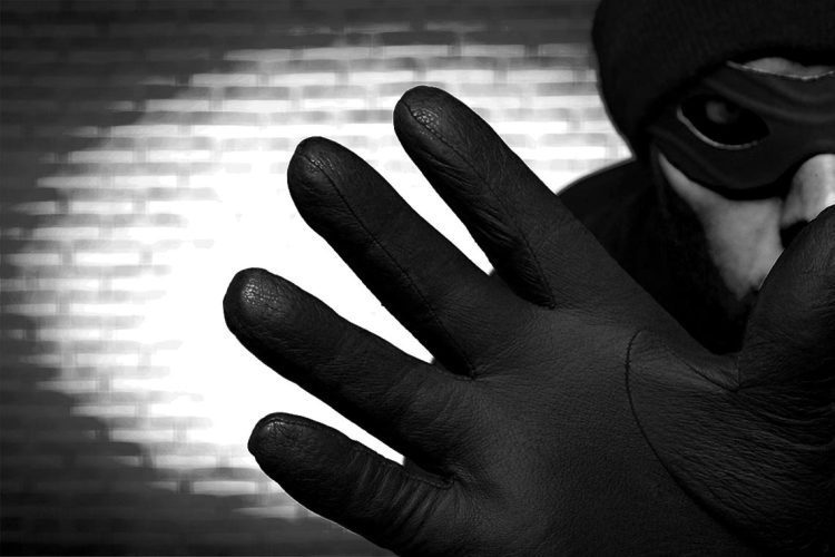 Thief Stealing Burglar Identity Burglary Crime Criminal
