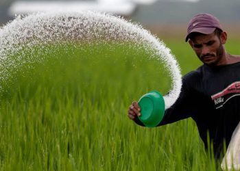Chemical-fertilizers
