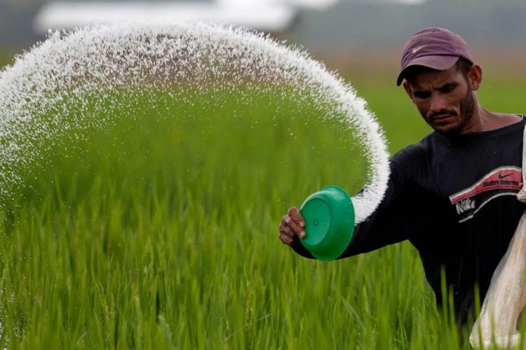 Chemical-fertilizers