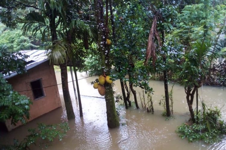 රත්නපුර දිස්ත්‍රික්කයේ කැටලියම්පල්ල, ජලයෙන් යටවි තිබුණු අයුරු...