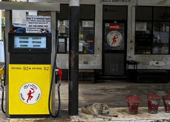 A dog lays next to a petrol pump at a closed Ceypetco petrol station in Colombo on November 17, 2021. - Sri Lanka shut its only oil refinery on November 15, 2021 after running out of dollars to import crude amid a deeping economic crisis that has triggered shortages of food and other essentials. (Photo by ISHARA S. KODIKARA / AFP)