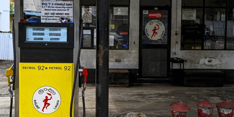 A dog lays next to a petrol pump at a closed Ceypetco petrol station in Colombo on November 17, 2021. - Sri Lanka shut its only oil refinery on November 15, 2021 after running out of dollars to import crude amid a deeping economic crisis that has triggered shortages of food and other essentials. (Photo by ISHARA S. KODIKARA / AFP)