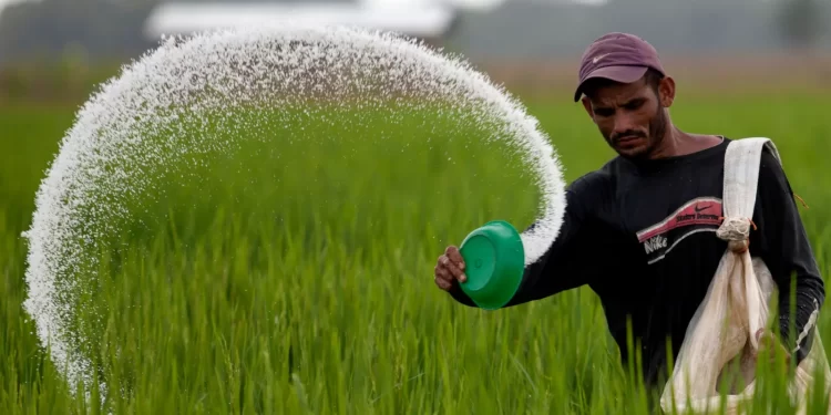 fertilizer rice farmer food price