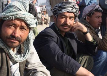 Afghanistan Unemployment