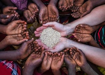 Food Security