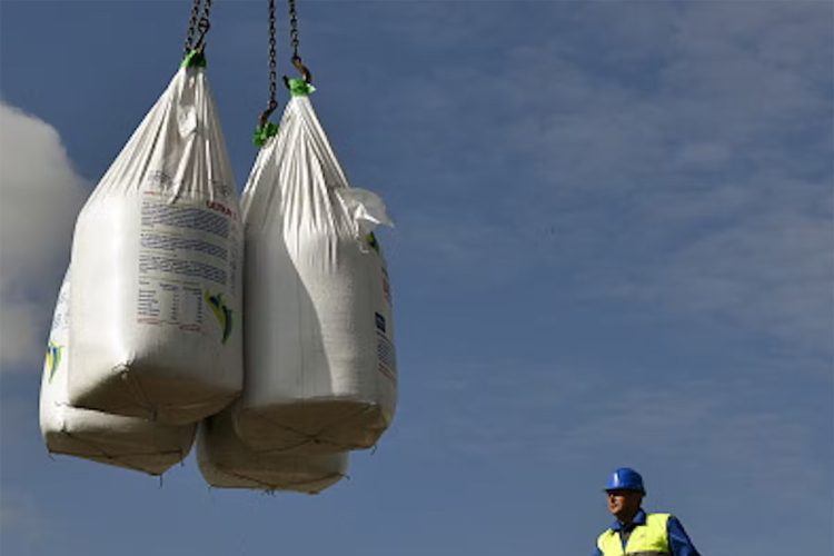 fertiliser-export