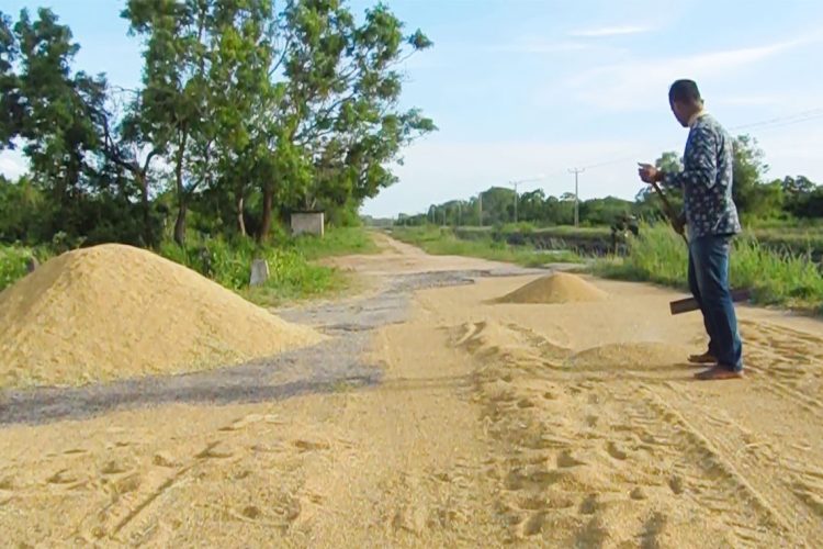 දිරාපත් වන වැලිකන්ද වී ගබඩාව,