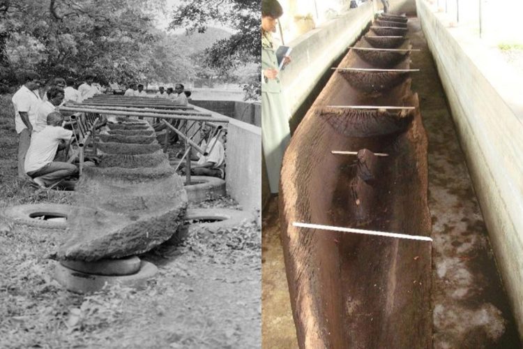 Attanagalu-Paruwa