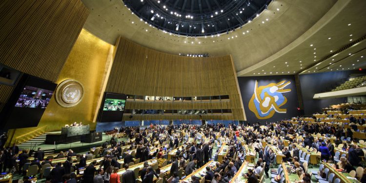 UN general assembly adopts a resolution to establish a youth office !