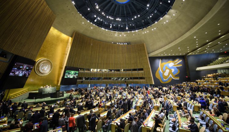 UN general assembly adopts a resolution to establish a youth office !