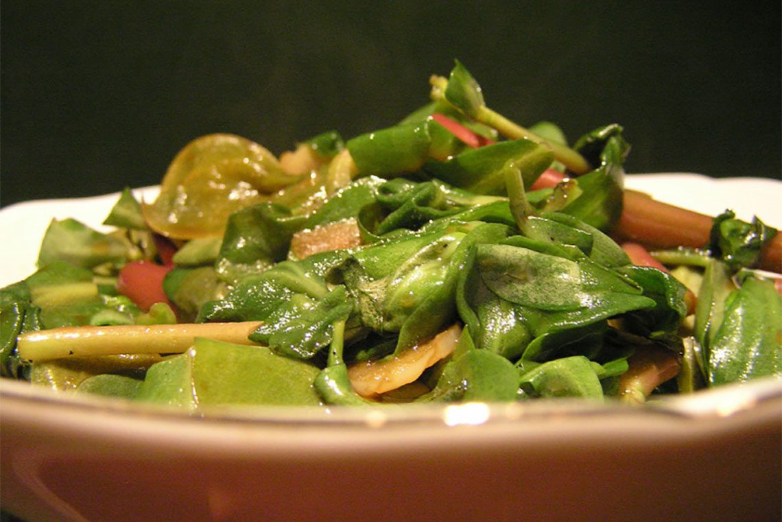  purslane 