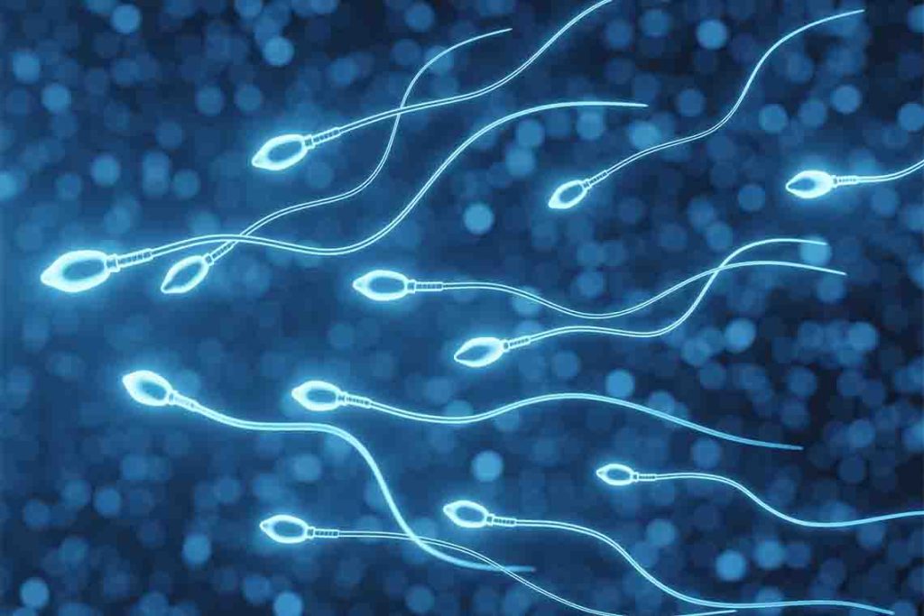 Sperm-Cells-Swimming