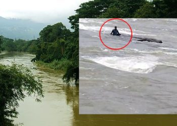 මහනුවර දී මහවැලි ගඟ මැද අතරමං පුද්ගලයකු බේරා ගැනීමේ දැඩි මෙහෙයුමක් !