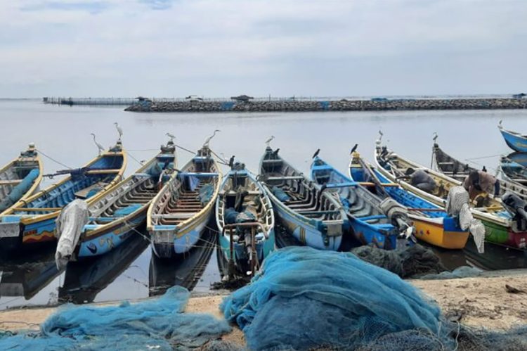 Boats