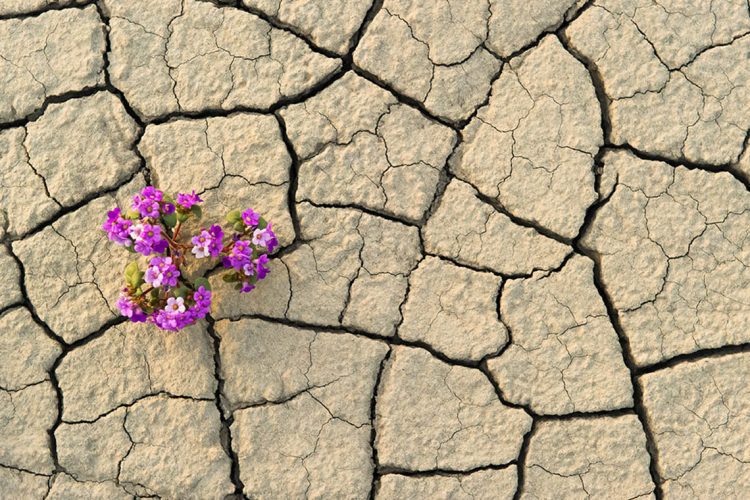 Resilience