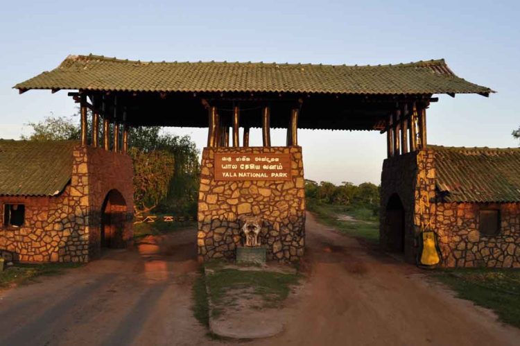 Yaala