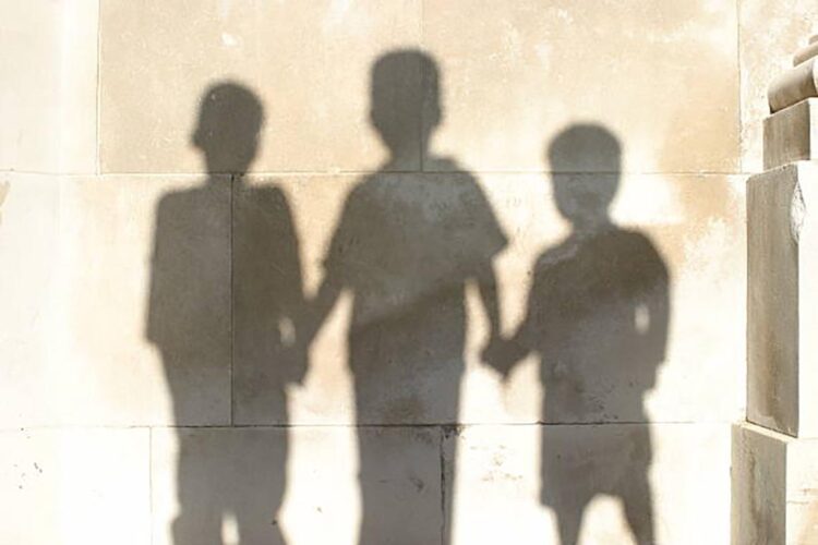 shadows